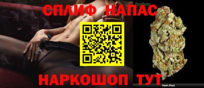 spice Кунгур