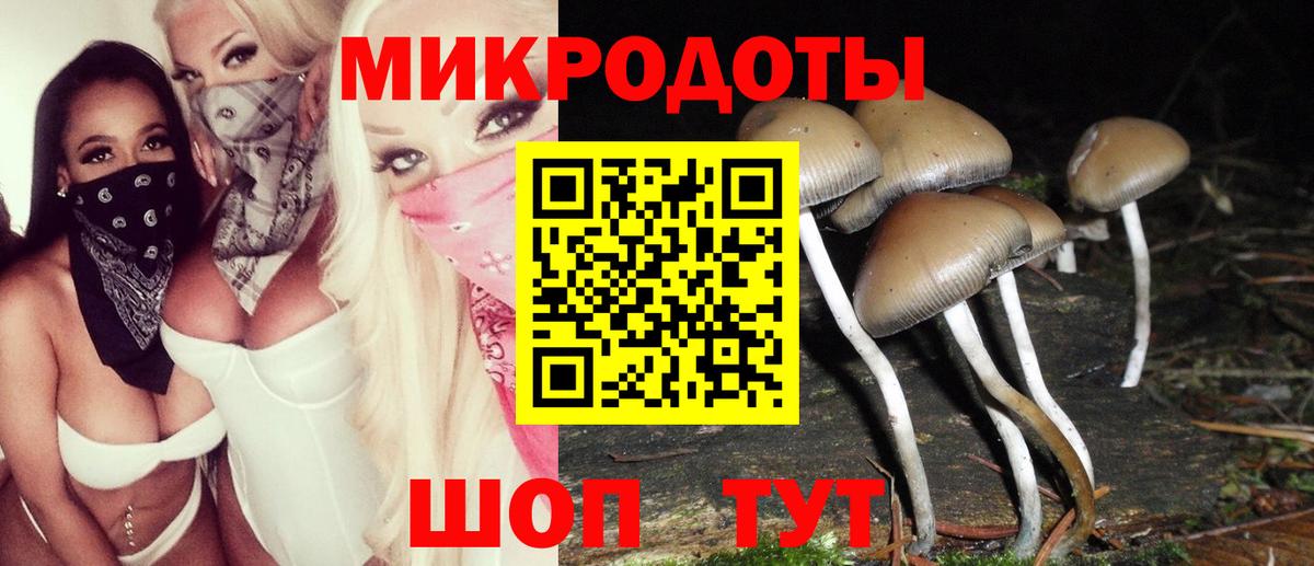 Изобильный  Галлюциногенные грибы Cubensis  Псилоцибиновые грибы GOLDEN TEACHER  наркота  Вход с VPN 