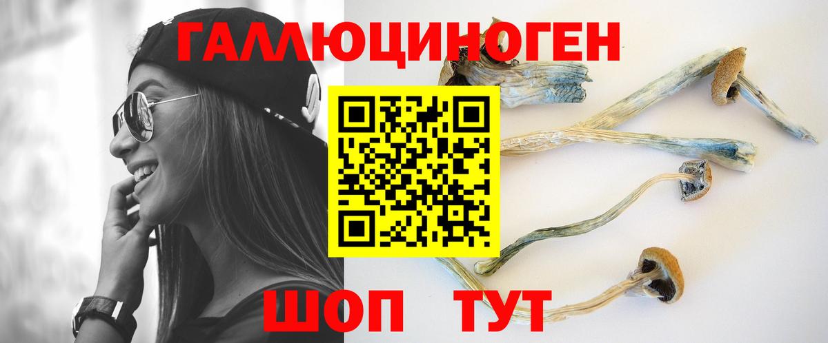 Псилоцибиновые грибы Psilocybine cubensis Изобильный